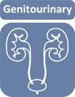 Free medical student notes on the Genitourinary system