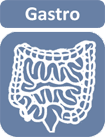 Free revision notes for medical students on gastroenterology and the GI system