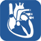 Free cardiology and cardiovascular system revision notes for medical students
