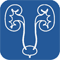 free medical revision notes on genitourinary medicine, nephrology and urology surgery for medical students
