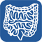 free medical student revision notes on gastroenterology and the gastrointestinal system
