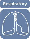 Free medical revision notes on the respiratory system by medical students