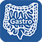 free medical student revision notes on gastroenterology and the gastrointestinal system