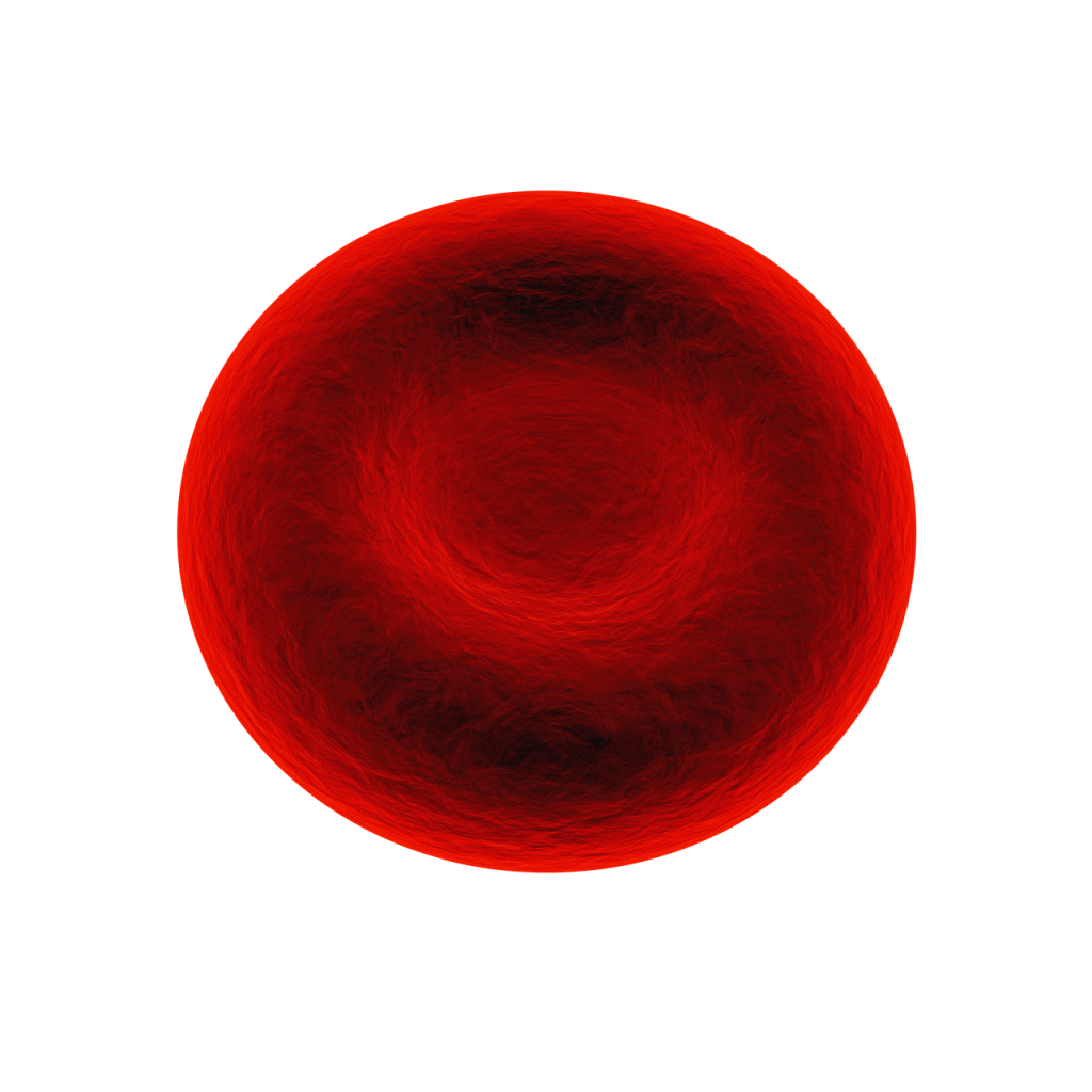 Red Blood Cell