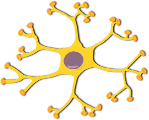 Read more about the article Neuropathic Pain