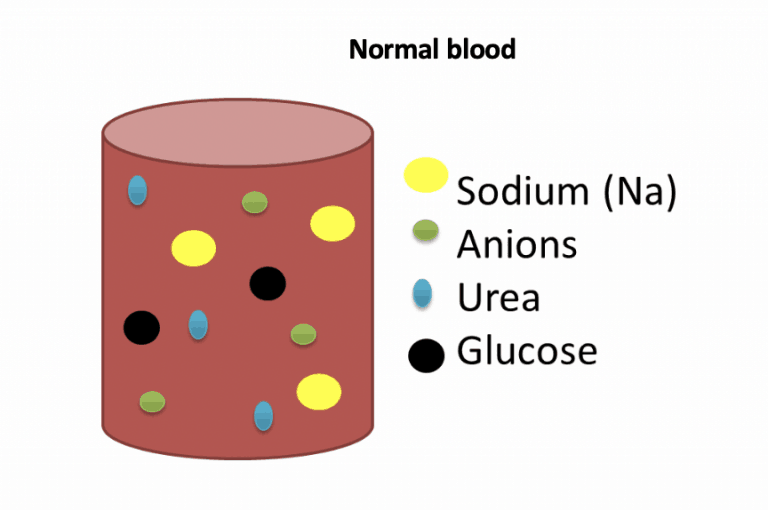 Hyperosmolar Hyperglycaemic State (HHS) almostadoctor