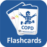 Flashcards